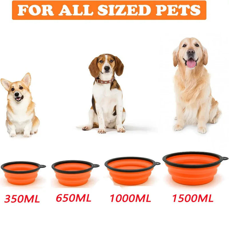 Travel Dog & Cat Food Container