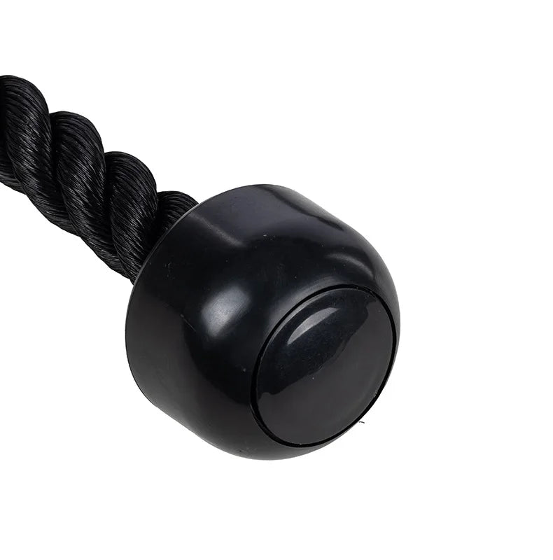 Triceps Rope Cable Attachment