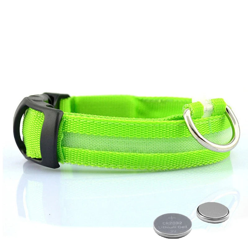 Glow-in-the-Dark Dog Leash & Collar Set