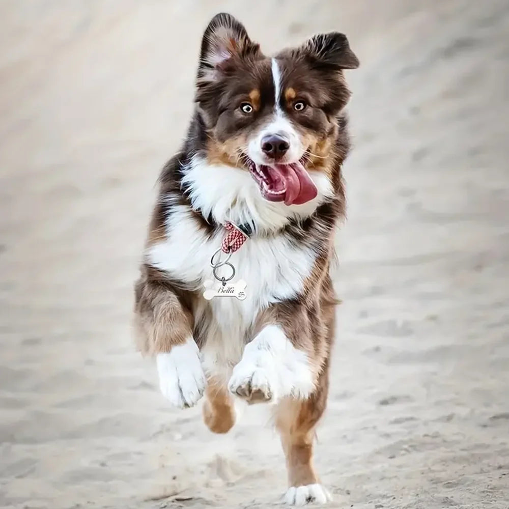 Personalized Pet ID Tag Keychain